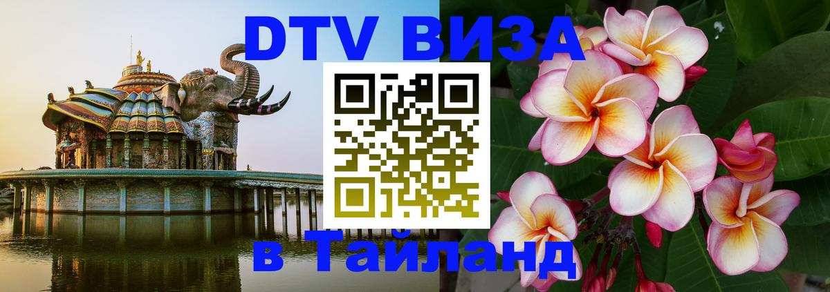 Оформление DTV визы под ключ: стоимость и тарифы, только загранпаспорт - 04.10.2025 